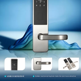 TT LOCK VERSION