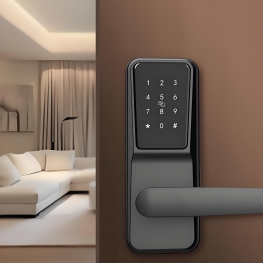 TT LOCK VERSION