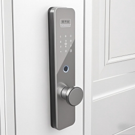 NEW Lock