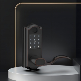 8031 Door Lock