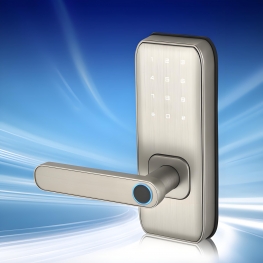 8051 Door Lock