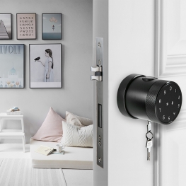 LVD-06 Door Lock
