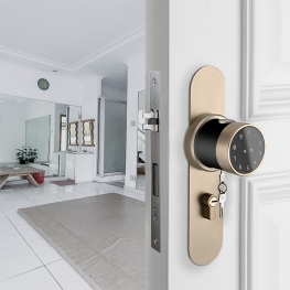 LVD-6 Large Panel Lock