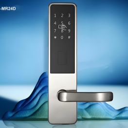 TT LOCK VERSION