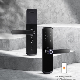 TUYA SMART DOOR LOCK