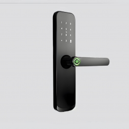 TT LOCK VERSION