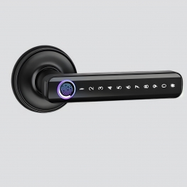 TT LOCK VERSION