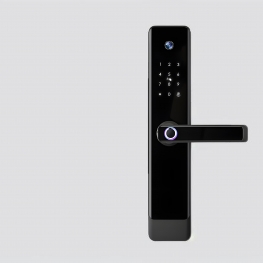 TUYA SMART  DOOR LOCK