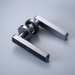LVD-15BC SMART KNOB LOCK