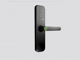 TT LOCK VERSION