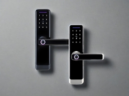 TT LOCK VERSION